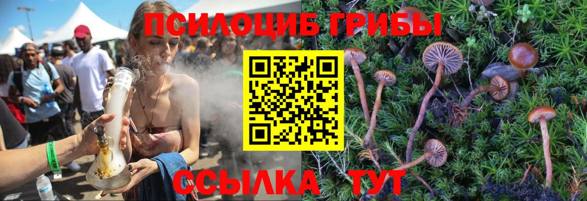 Галлюциногенные грибы GOLDEN TEACHER Коряжма