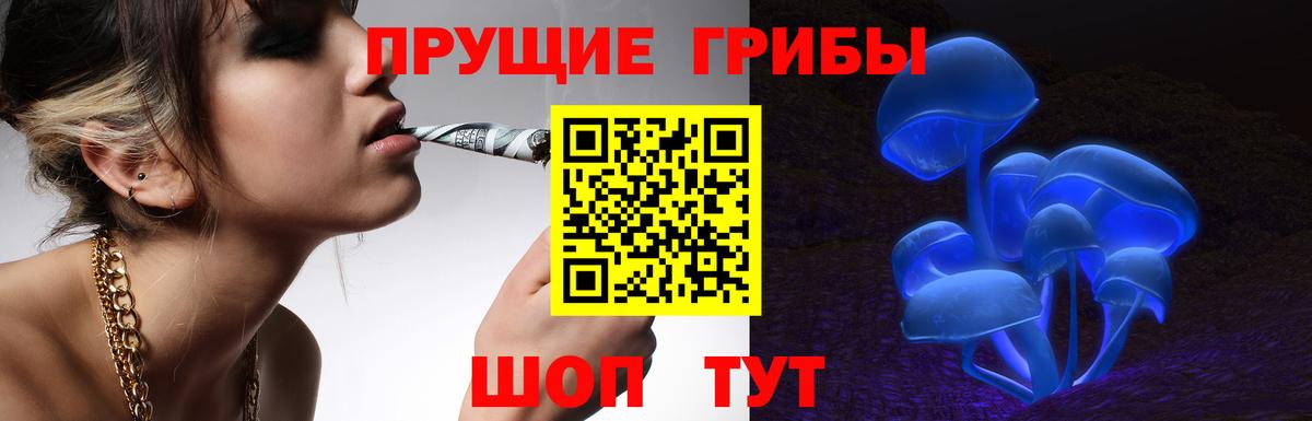 Галлюциногенные грибы Psilocybe  Вход с VPN  Коряжма  Псилоцибиновые грибы MAGIC MUSHROOMS 