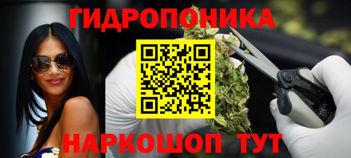Коряжма  Бошки Шишки семена  Вход с VPN  Каннабис AK-47 